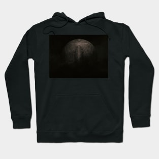 BIO Hoodie